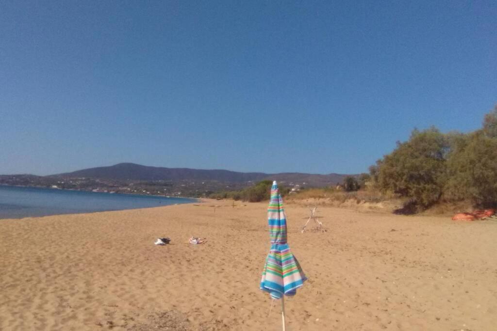 Ueber Den Daechern Von Koroni Экстерьер фото